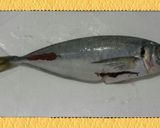 鯵の下処理→塩焼き～っ >゜)))彡作り方3写真