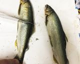 お子様にもオススメ☆鮎の塩焼き作り方1写真