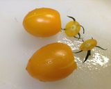トマトとオクラのコンソメジュレ添え作り方1写真