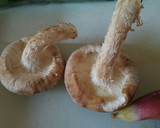 簡単！鶏セセリ焼きと季節野菜の釜飯✨✨作り方3写真
