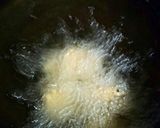 鶏のガーリック揚げ作り方3写真