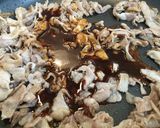 簡単‼お肉とサラダでウマウマ丼作り方3写真