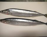 さんまの選び方&お洒落に化粧塩焼き作り方1写真