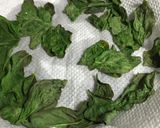 緑鮮やか！自家製ドライバジル作り方3写真