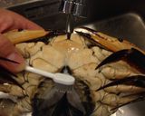 カンジャンケジャンは ご飯泥棒⁉️作り方16写真