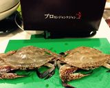カンジャンケジャンは ご飯泥棒⁉️作り方28写真