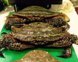 カンジャンケジャンは ご飯泥棒⁉️作り方29写真