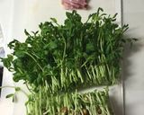 豆苗&ベーコン！簡単！作り方1写真