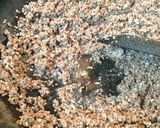 禁断のガッツリ系肉そぼろ作り方7写真