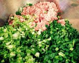白菜派の餃子っす！作り方1写真