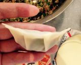 白菜派の餃子っす！作り方3写真