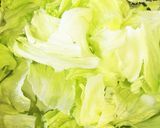 モリモリ食べれるレタスと竹輪の和風サラダ作り方1写真