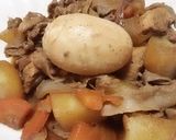 豚バラ肉とチキンのアドボ作り方9写真