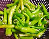 【オトナの常備菜】焼きびたししとう作り方7写真