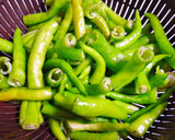 【オトナの常備菜】焼きびたししとう作り方7写真