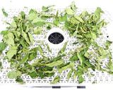 モロヘイヤ粉末化｜粉砕機ハイスピードミル作り方3写真