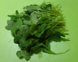♪簡単♪＊貝われ菜のお味噌汁＊作り方1写真
