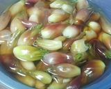 茗荷(みょうが)の甘酢漬作り方6写真