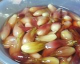 茗荷(みょうが)の甘酢漬作り方8写真