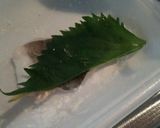 大葉巻き　鱧天ぷら作り方1写真