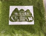 ブロッコリーピューレでジェノベーゼ作り方7写真