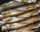はたはたの干物〜ガーリックバター焼き〜作り方3写真