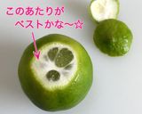 店長直伝★ライムやレモンはこう切るべし♡作り方3写真