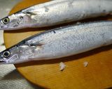 イリュージョン！新しい秋刀魚の塩焼き方作り方1写真