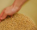 【みそ屋が教える】簡単　手作り味噌作り方作り方1写真