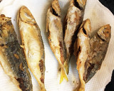 骨まで食べれる！豆アジの唐揚げ作り方5写真