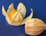 ブランデーがほのかに香る ☆ 大学栗♪作り方8写真