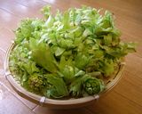 アクが苦手な人向き！ふき味噌♪作り方1写真