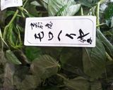 モロヘイヤ・なめこの胡麻和え作り方1写真