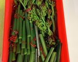 わらび醤油漬♪選び方から下処理も♪作り方14写真