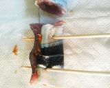 秋刀魚の味噌ロール焼き作り方6写真