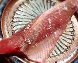 鰹！鰹！鰹！レアかつおイタリアンサラダ♪作り方1写真