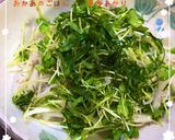 【和食に合うサラダ】じゃこと大根のサラダ作り方11写真