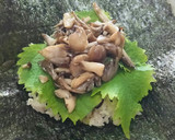 キノコと目玉焼きのおにぎらず作り方5写真