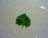 キャベツ&ミンチの春巻き作り方10写真