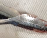 秋刀魚の梅肉和え作り方2写真