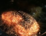 ビールのおとも(^^)せせりの塩唐揚げ♫作り方3写真