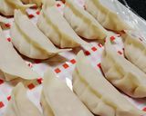 ウチの鶏餃子！作り方2写真