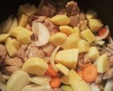 簡単＊チキンカレー作り方5写真