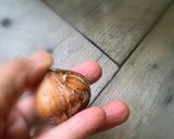 レモンティーで！栗の渋皮煮作り方2写真
