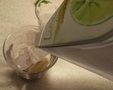 BRITAレモン&ブルーベリーウォーター作り方2写真