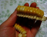 キレイに食べれる♪とうもろこしのカット法作り方2写真