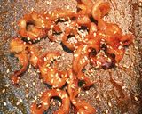 ご飯に☆おつまみに☆貝ひもの佃煮作り方2写真