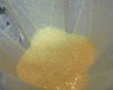 リメイクとうもろこしご飯で冷製すーぷ作り方6写真