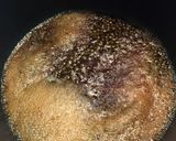 超簡単!ご飯のお供ちりめん山椒♪作り方4写真