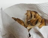 きのこ類・お弁当用野菜の保存はこれ！作り方2写真